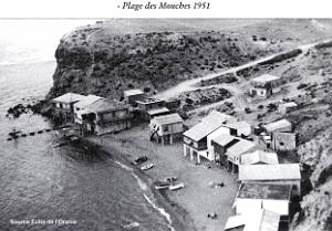 CO jj- 01 Ain temouchent